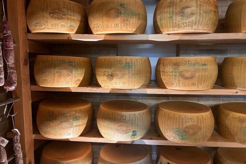 Parmigiano dairy farm visit and tasting