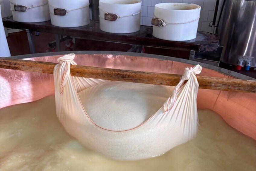 Parmigiano dairy farm visit and tasting