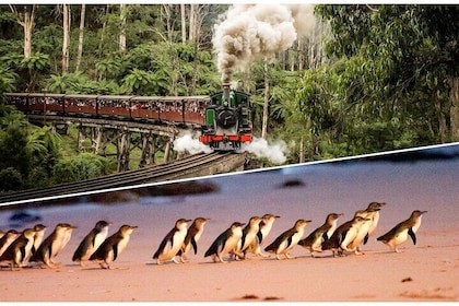 Puffing Billy and Penguin Parade Day Tour From Melbourne