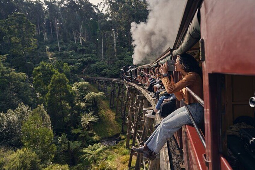 Melbourne Puffing Billy and Penguin Parade Day Tour