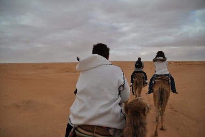 Private Camel Ride in Douz