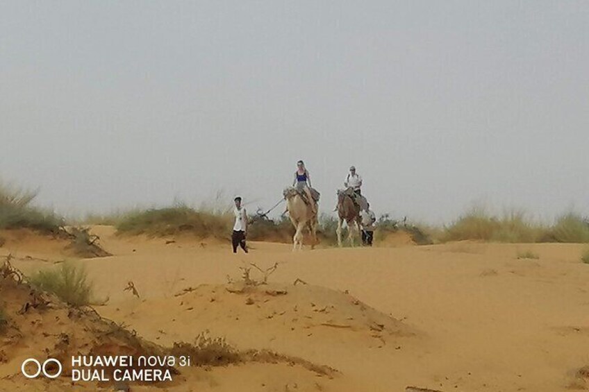 Private Camel Ride in Douz