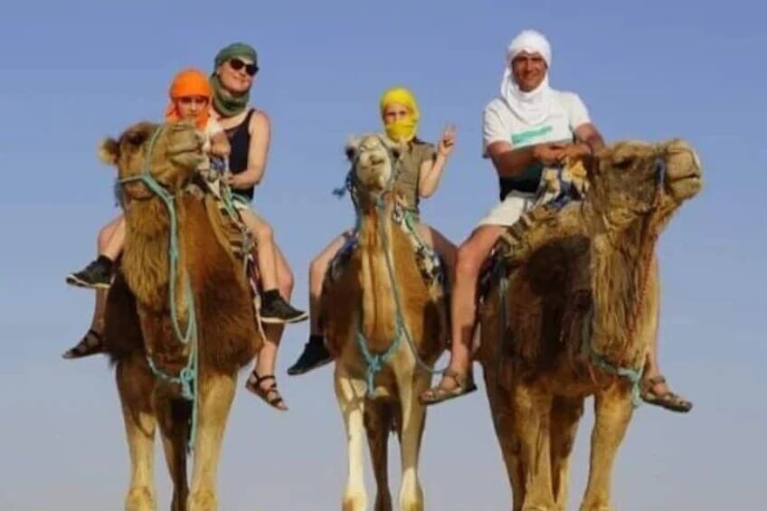 Private Camel Ride in Douz