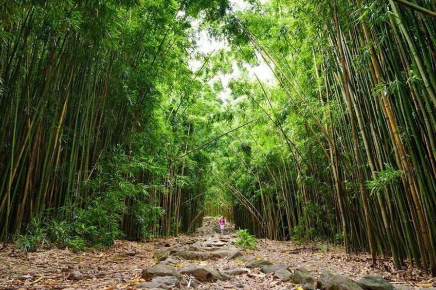 8 Hour Private Jungle Waterfall Tour from Maui