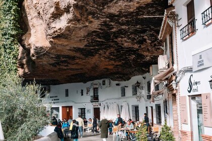 Seville: Flamenco Tour on eBike with Show