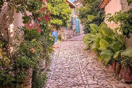 Meet the locals of Troodos mountains