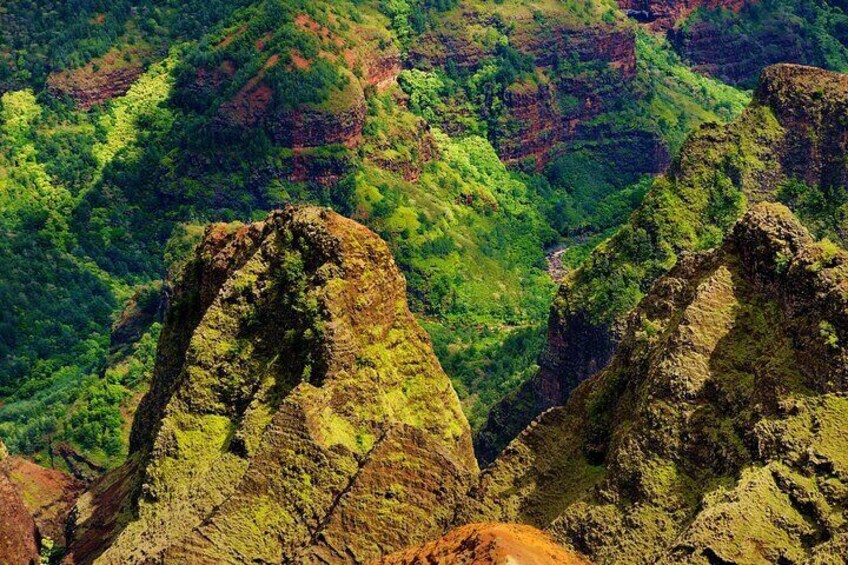 Full-Day Private Kauai's Waimea Canyon and South Side Tour