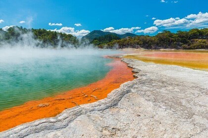 Private Tour Rotorua Waiotapu Redwood Forest and Polynesian Spa