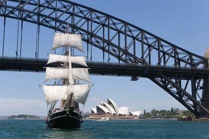 Sydney Harbour: Theatrical Pirates Cruise