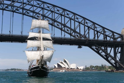 Sydney Harbour: Theatrical Pirates Cruise