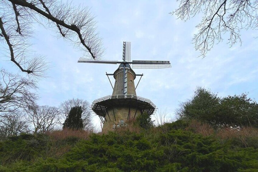 Alkmaar: Self-guided History and Highlights Walking Tour