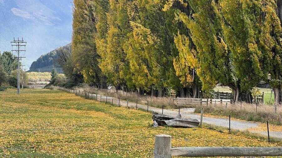 Glenorchy