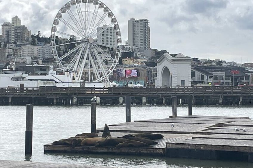 Lively Fisherman’s Wharf with Alcatraz views and vibrant street life.