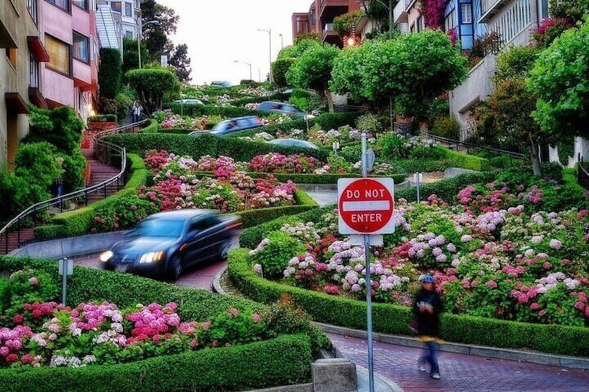 Wind down the famous Lombard Street, San Francisco’s ‘Crooked Street.