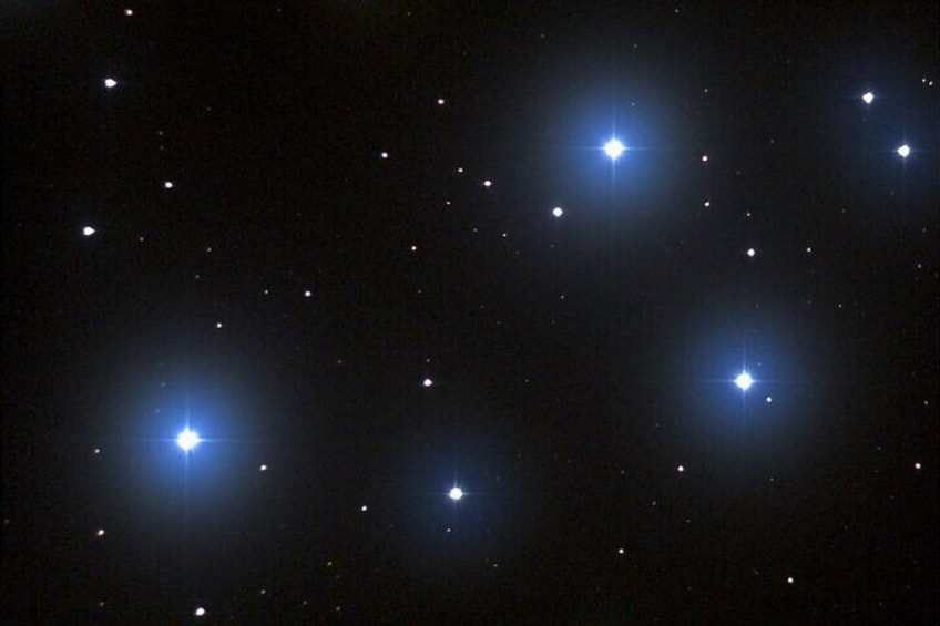 Baby Stars from the Pleiades