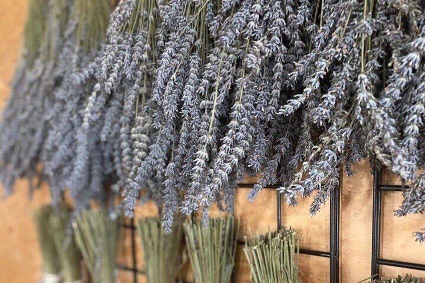 Harvested Lavender