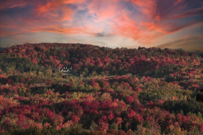 Fall Colours in Ontario