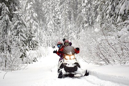 Family Snowmobile Tour in Whistler