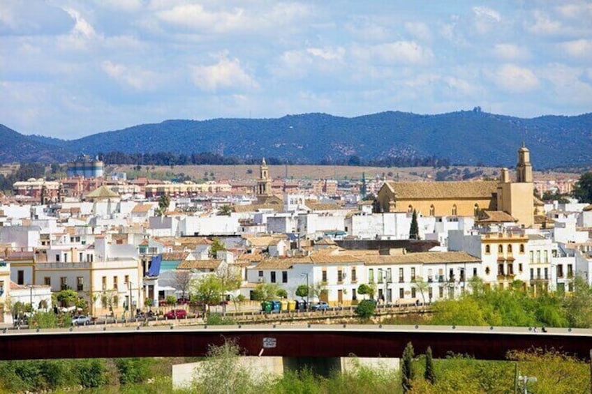 Cordoba Patios Private Walking Tour