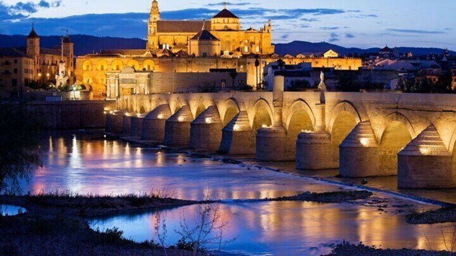 Cordoba Patios Private Walking Tour