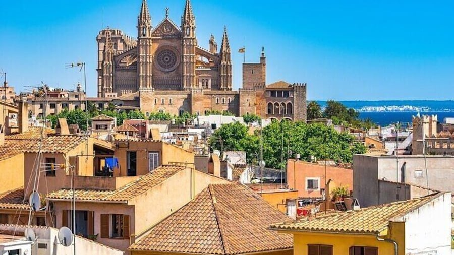 Palma de Mallorca Must-See Attractions Walking Tour With A Guide