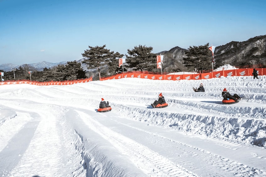 Picture 5 for Activity Seoul: SnowyLand in Vivaldi Park with Nami or Alpaca