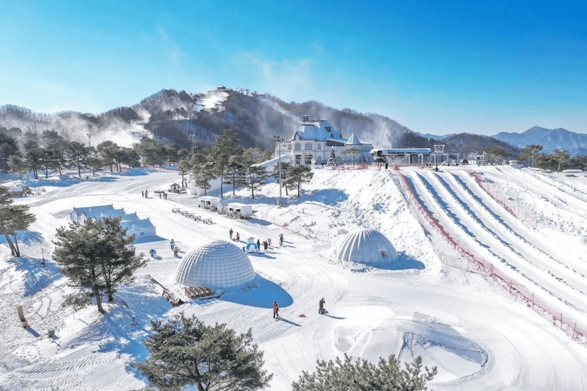 Picture 6 for Activity Seoul: SnowyLand in Vivaldi Park with Nami or Alpaca