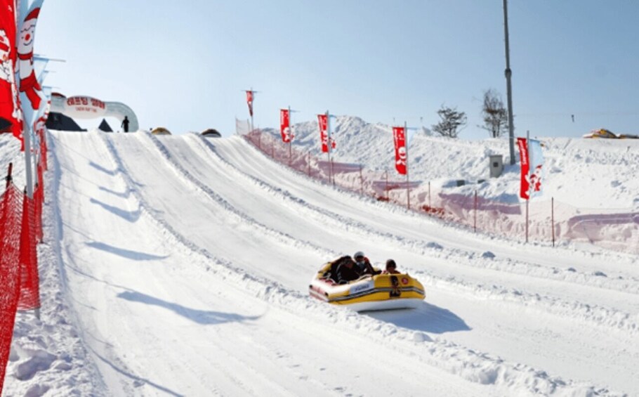 Picture 3 for Activity Seoul: SnowyLand in Vivaldi Park with Nami or Alpaca