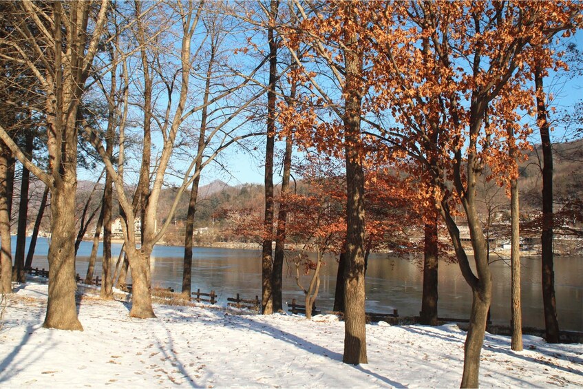 Picture 11 for Activity Seoul: SnowyLand in Vivaldi Park with Nami or Alpaca