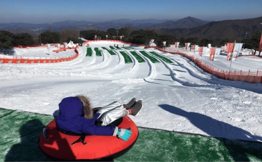 Picture 4 for Activity Seoul: SnowyLand in Vivaldi Park with Nami or Alpaca