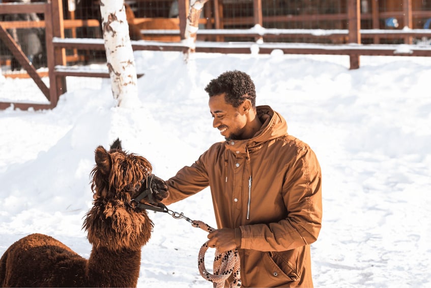 Picture 9 for Activity Seoul: SnowyLand in Vivaldi Park with Nami or Alpaca