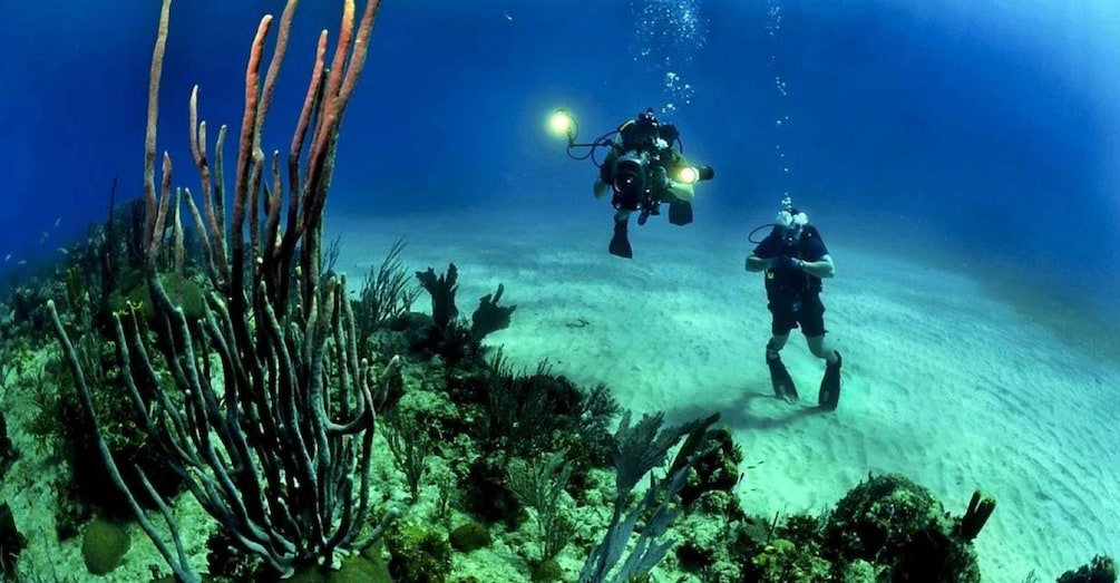 From Cancun: Fast Boat Cozumel Diving Experience