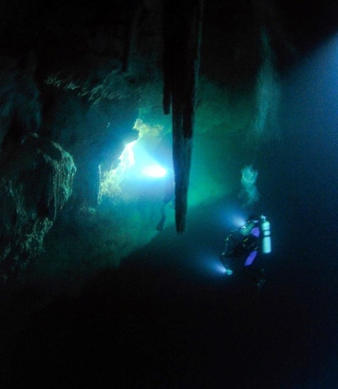 Picture 3 for Activity From Cancun: Fast Boat Cozumel Diving Experience