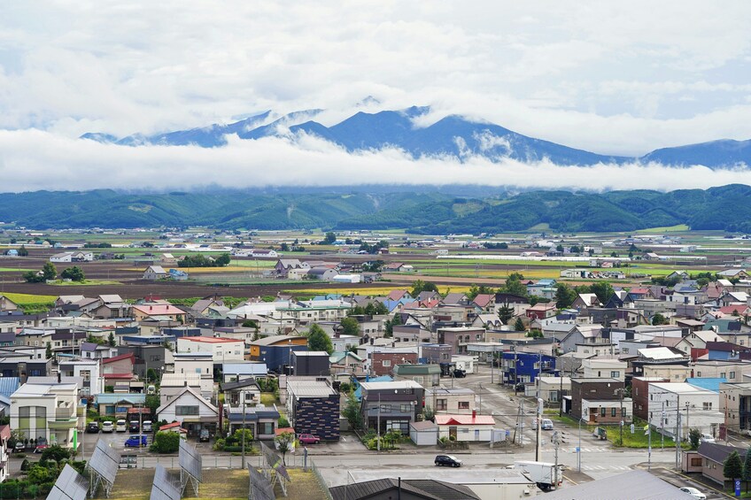 Furano and Biei Tour: Discovering the Vibrant Fields of Hokkaido