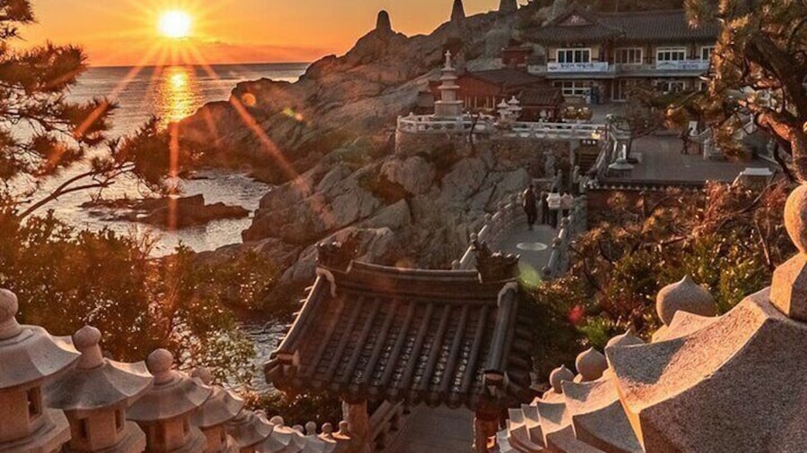 A well-rounded small group Busan tour with a certified guide