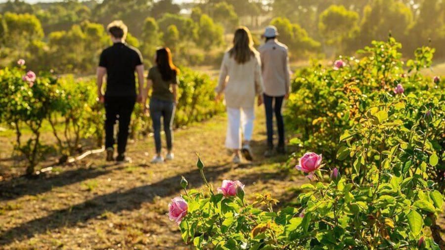 Jurlique Farm Tour