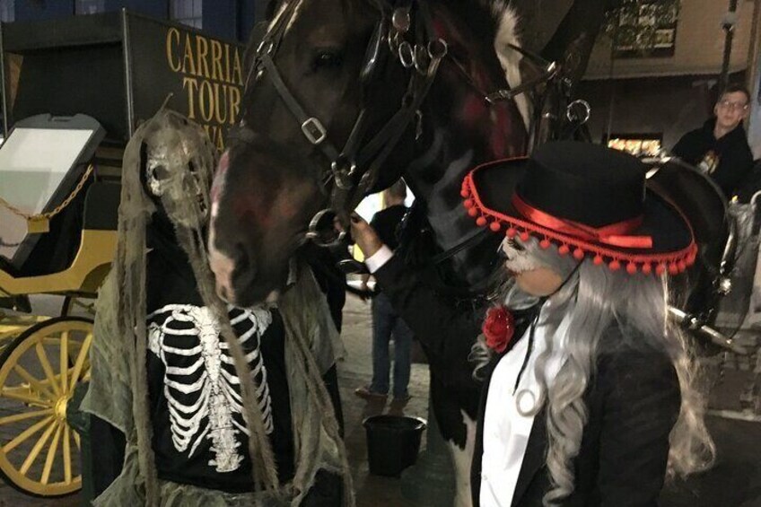 Ghost and Folklore Tour in Savannah Horse Drawn