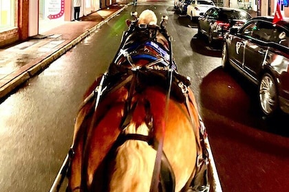 Horse Drawn Ghost and Folklore Tour in Savannah