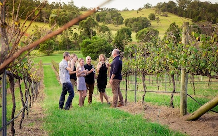 Brisbane: Wine & Dine In The Vines
