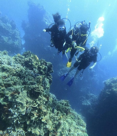 Picture 2 for Activity Cancun: Goliat Grouper Dive Adventure