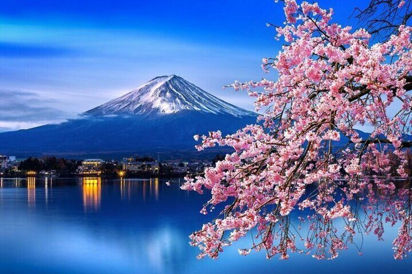 Cherry Blossom Mount Fuji Customizable Luxury vehicle Guided Tour