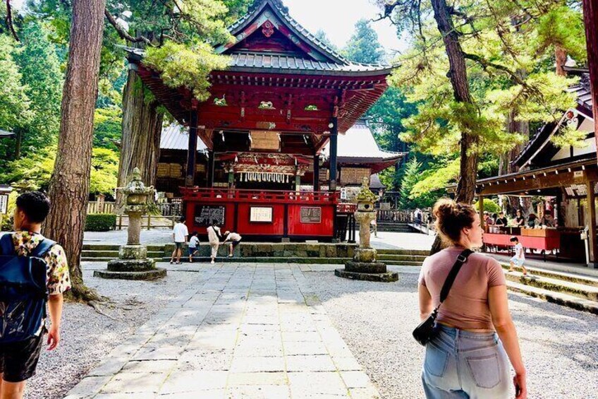Cherry Blossom Mount Fuji Customizable Luxury vehicle Guided Tour