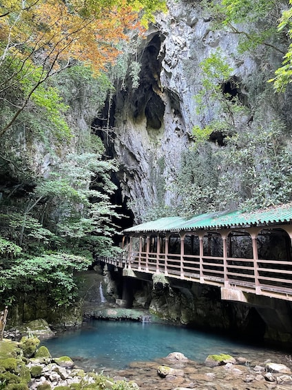 Picture 3 for Activity Akiyoshido Cave: Entrance Ticket