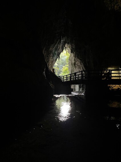 Picture 2 for Activity Akiyoshido Cave: Entrance Ticket