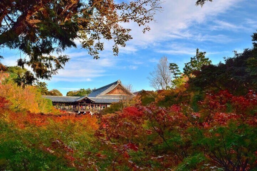 Private Day Tour in Uji, Fushimi Inari, and Tofukuji in Kyoto