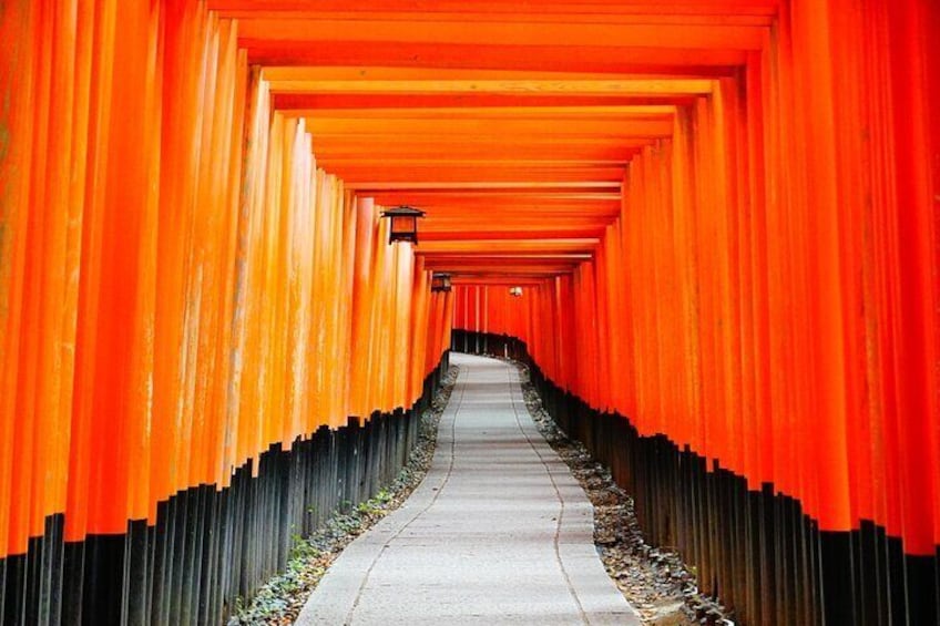 Private Day Tour in Uji, Fushimi Inari, and Tofukuji in Kyoto