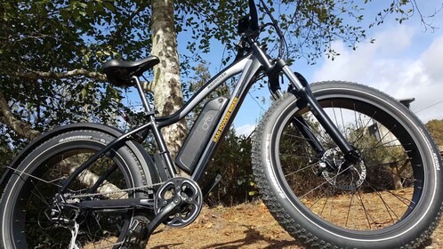 Humboldt Country: 4-Hour Electric Bike Rentals