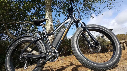 Humboldt: Electric Bike Rentals (4-Hour or Full Day options)