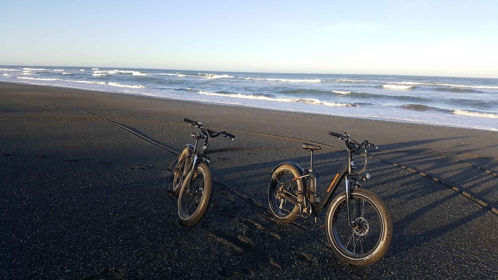 Picture 1 for Activity Humboldt: 4-Hour Electric Bike Rentals