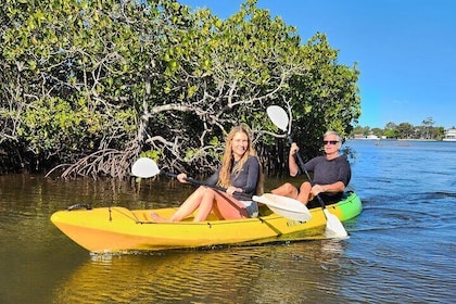 Noosa Heads Kayaking Activity and Wildlife Experience